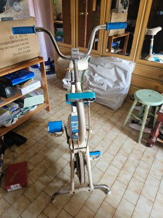 Bicicleta Estática BH Vibrocycle