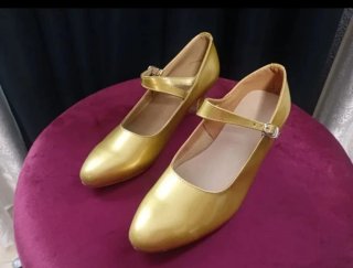 N. 36, Zapatos disfraz