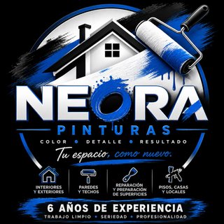 PINTOR PROFESIONAL | 6 AÑOS DE EXPERIENCIA