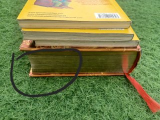 Libros Geronimo Stilton