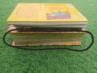 Libros Geronimo Stilton