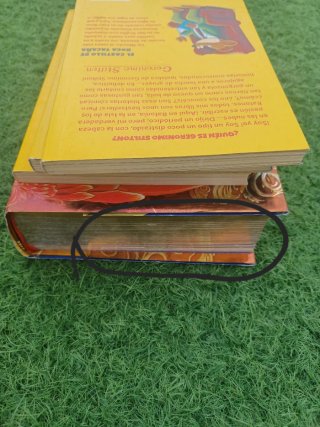 Libros Geronimo Stilton