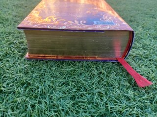 El gran libro del Reino de la Fantasía. ¡Descub...