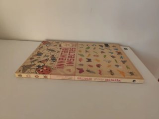 Inventari il-lustrat dels insectes