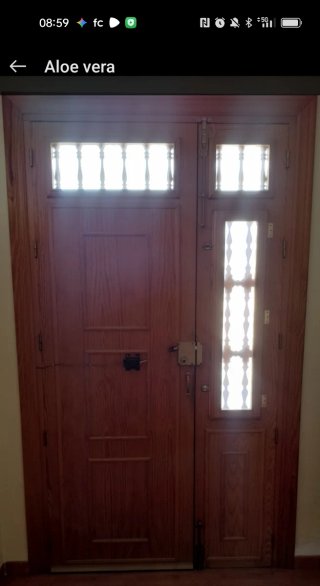 Puerta de entrada madera maciza + Portero