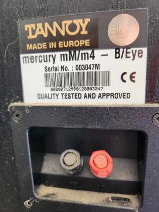 Altavoces Tannoy