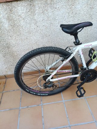 Bicicleta Focus Donna