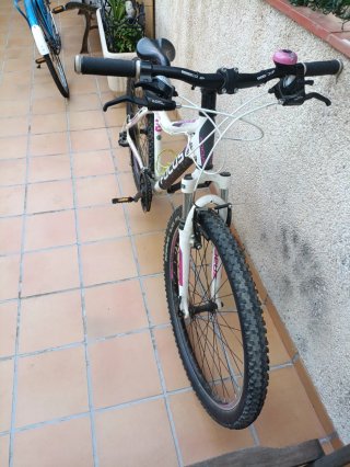 Bicicleta Focus Donna