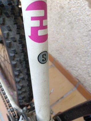 Bicicleta Focus Donna