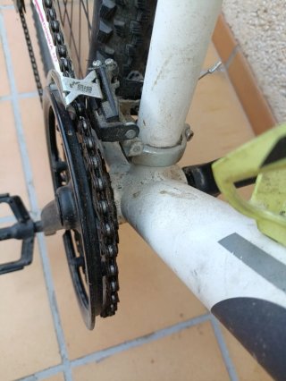 Bicicleta Focus Donna