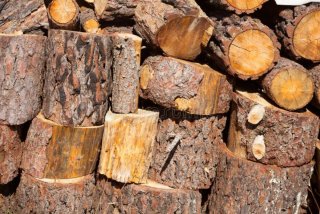 Leña de pino para chimenea