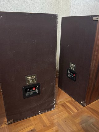 Par de Altavoces Vintage Martin Gamma Series II