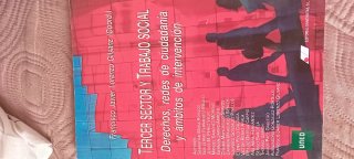 Tercer sector y trabajo social. Derechos, redes...