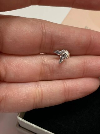 Pendientes Mariposa Pandora Plata