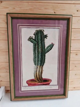 Lámina vintage con cactus en maceta.