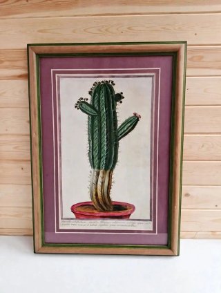 Lámina vintage con cactus en maceta.