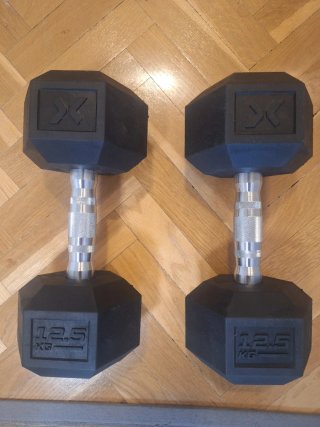 Mancuernas 12.5 kg (par)