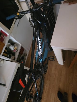Bicicleta GIANT Talon Alux L