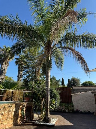 Chalet en alquiler en Sencelles