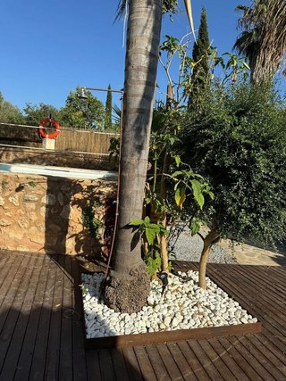 Chalet en alquiler en Sencelles