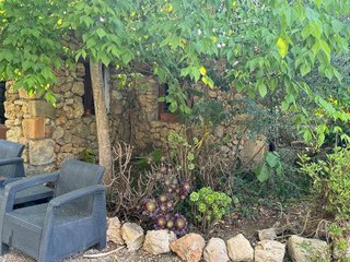 Chalet en alquiler en Sencelles