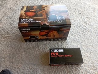 BOSS FS-6 Dual Foot Switch y DR-01s