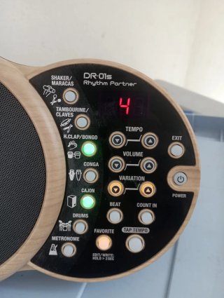 BOSS FS-6 Dual Foot Switch y DR-01s