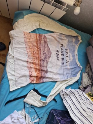 Camiseta Just a plane ride away