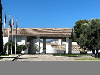 Casa adosada en alquiler en Guadalmina Alta en Marbella