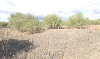 Solar en venta en Campos