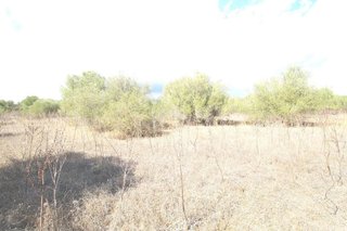 Solar en venta en Campos