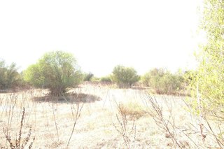 Solar en venta en Campos