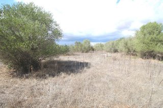 Solar en venta en Campos