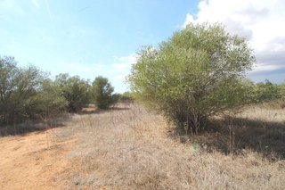 Solar en venta en Campos