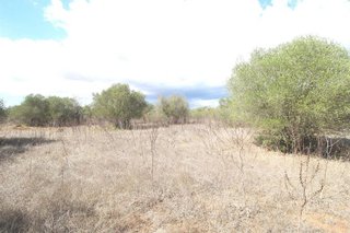 Solar en venta en Campos