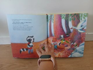 Libro infantil  ¿Por qué no juegas?