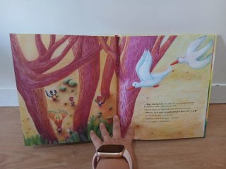 Libro infantil  ¿Por qué no juegas?