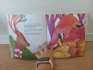 Libro infantil  ¿Por qué no juegas?