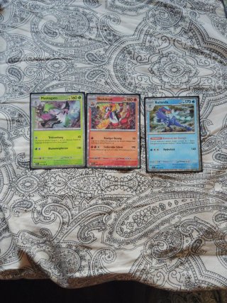 Paquete premium de TCG POKEMON