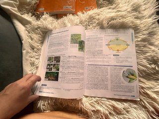 BIOLOGIA GEOLOGIA Y CIENCIAS AMBIENTALES 1 (CER)