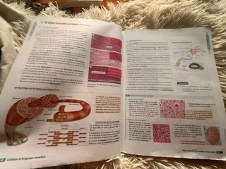 BIOLOGIA GEOLOGIA Y CIENCIAS AMBIENTALES 1 (CER)