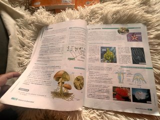 BIOLOGIA GEOLOGIA Y CIENCIAS AMBIENTALES 1 (CER)