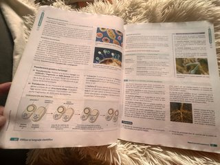 BIOLOGIA GEOLOGIA Y CIENCIAS AMBIENTALES 1 (CER)
