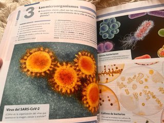 BIOLOGIA GEOLOGIA Y CIENCIAS AMBIENTALES 1 (CER)