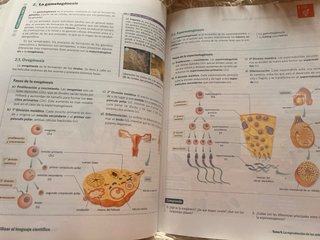 BIOLOGIA GEOLOGIA Y CIENCIAS AMBIENTALES 1 (CER)