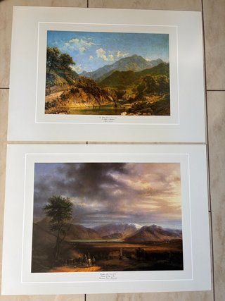 Coppia stampe vintage di alta qualità