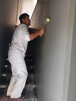 Servicios de Pintura, Pladur y Alisado
