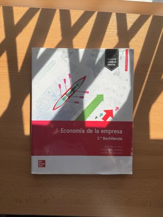 Economia de las empresas 2 bachillerato