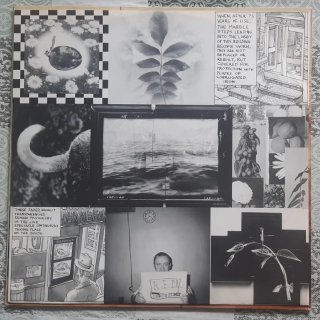 Vinilo Lp R.E.M
