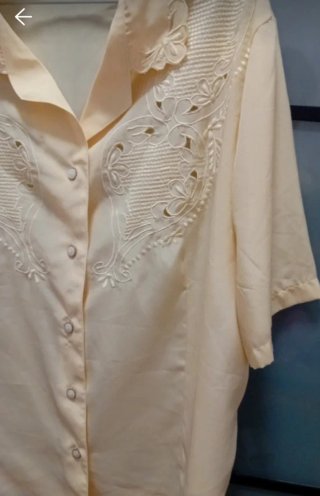 Blusa Beige con Bordados Talla 5XL